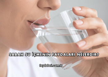 Sabah Su İçmenin Faydaları Nelerdir?