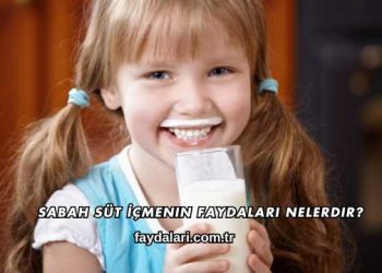 Sabah Süt İçmenin Faydaları Nelerdir?