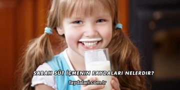 Sabah Süt İçmenin Faydaları Nelerdir?