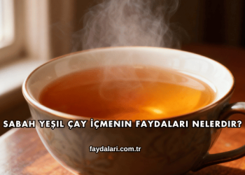 Sabah Yeşil Çay İçmenin Faydaları Nelerdir?