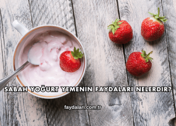 Sabah Yoğurt Yemenin Faydaları Nelerdir?