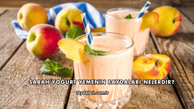 Sabah Yoğurt Yemenin Faydaları Nelerdir?