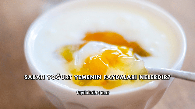 Sabah Yoğurt Yemenin Faydaları Nelerdir?