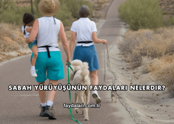 Sabah Yürüyüşünün Faydaları Nelerdir?