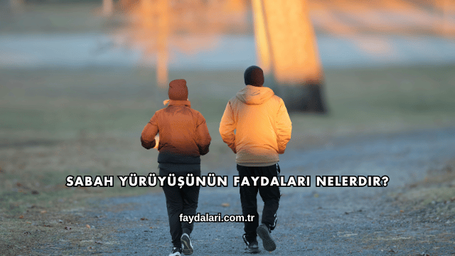 Sabah Yürüyüşünün Faydaları Nelerdir?