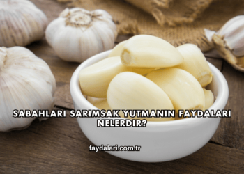 Sabahları Sarımsak Yutmanın Faydaları Nelerdir?