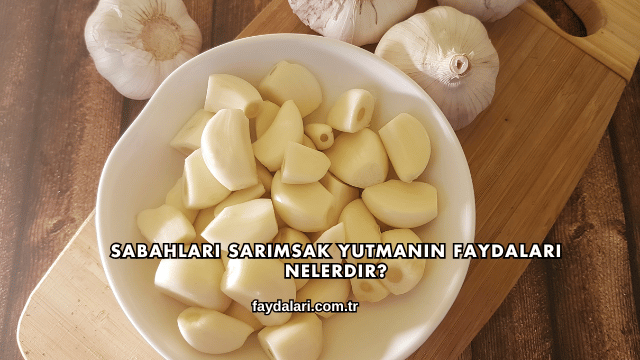 Sabahları Sarımsak Yutmanın Faydaları Nelerdir?