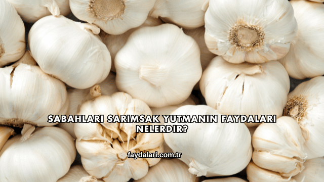 Sabahları Sarımsak Yutmanın Faydaları Nelerdir?
