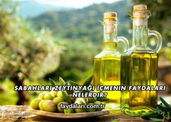 Sabahları Zeytinyağı İçmenin Faydaları Nelerdir?