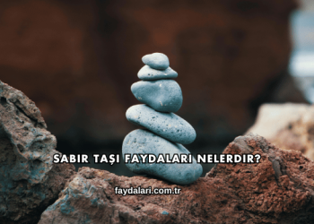 Sabır Taşı Faydaları Nelerdir?