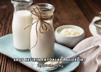 Sade Kefirin Faydaları Nelerdir?