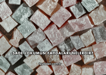 Sade Lokumun Faydaları Nelerdir?
