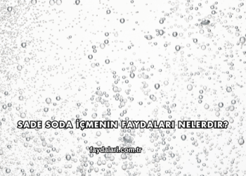 Sade Soda İçmenin Faydaları Nelerdir?