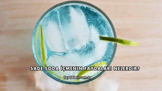 Sade Soda İçmenin Faydaları Nelerdir?