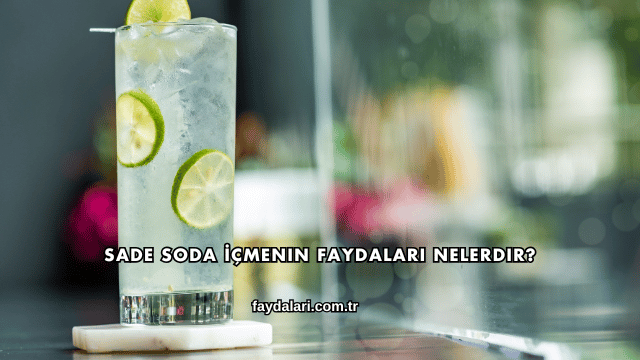 Sade Soda İçmenin Faydaları Nelerdir?