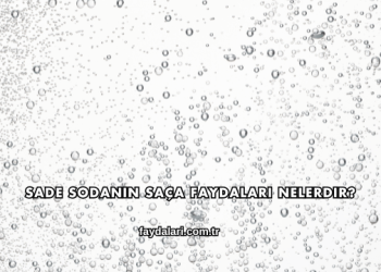Sade Sodanın Saça Faydaları Nelerdir?