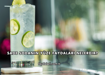 Sade Sodanın Yüze Faydaları Nelerdir?