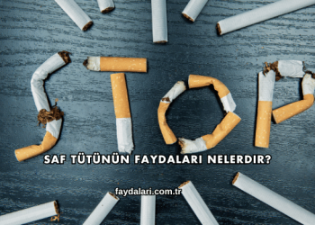 Saf Tütünün Faydaları Nelerdir?
