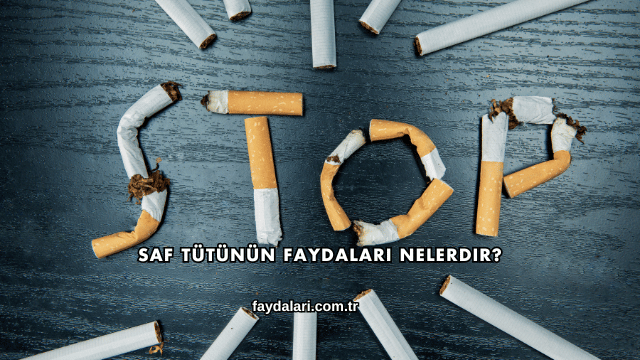 Saf Tütünün Faydaları Nelerdir?