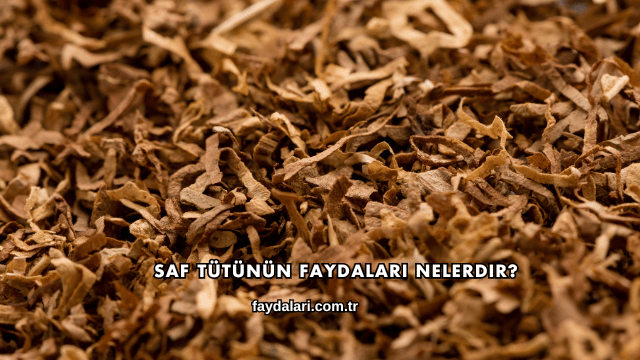 Saf Tütünün Faydaları Nelerdir?