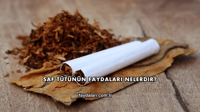 Saf Tütünün Faydaları Nelerdir?