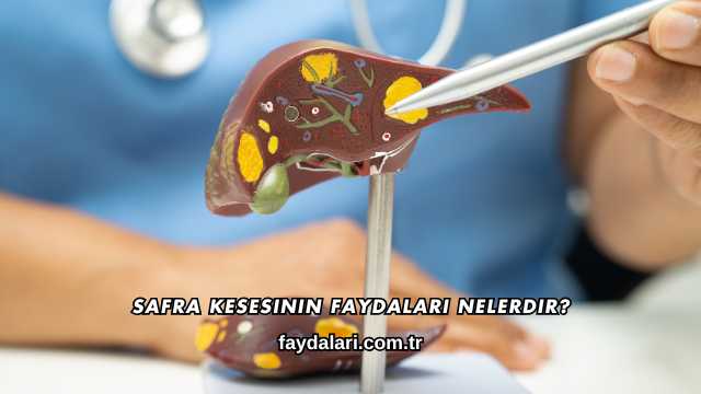 Safra Kesesinin Faydaları Nelerdir?