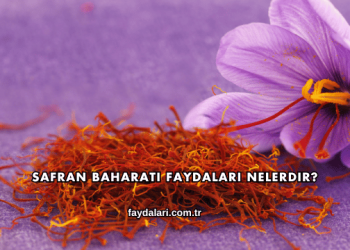 Safran Baharatı Faydaları Nelerdir?