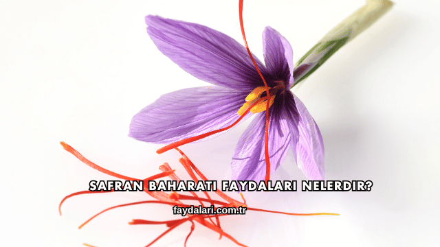 Safran Baharatı Faydaları Nelerdir?