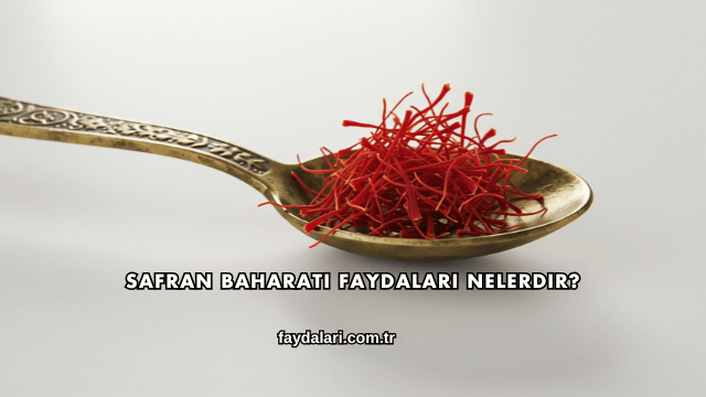 Safran Baharatı Faydaları Nelerdir?