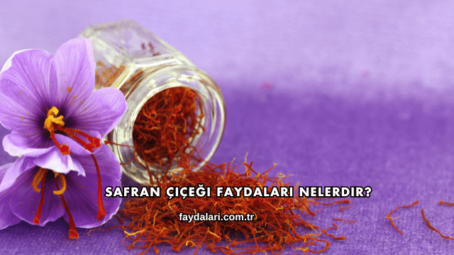 Safran Çiçeği Faydaları Nelerdir?