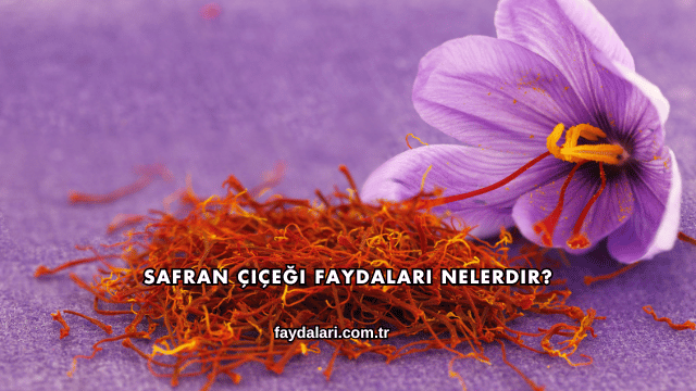 Safran Çiçeği Faydaları Nelerdir?