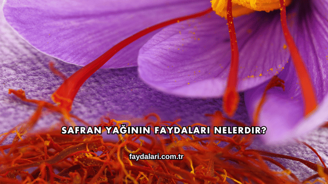 Safran Yağının Faydaları Nelerdir?