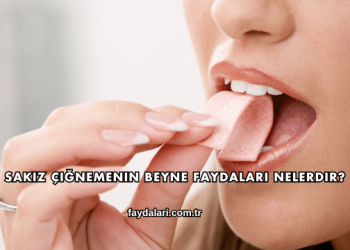 Sakız Çiğnemenin Beyne Faydaları Nelerdir?