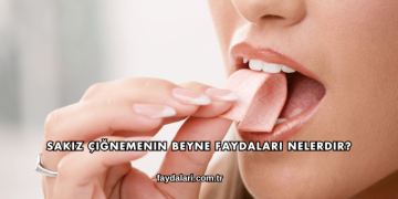 Sakız Çiğnemenin Beyne Faydaları Nelerdir?