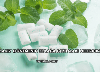 Sakız Çiğnemenin Kulağa Faydaları Nelerdir?