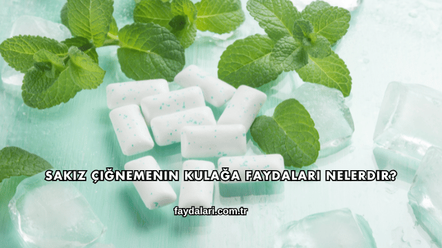 Sakız Çiğnemenin Kulağa Faydaları Nelerdir?