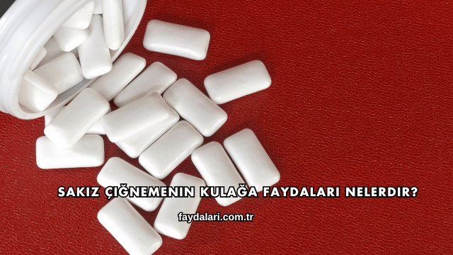 Sakız Çiğnemenin Kulağa Faydaları Nelerdir?