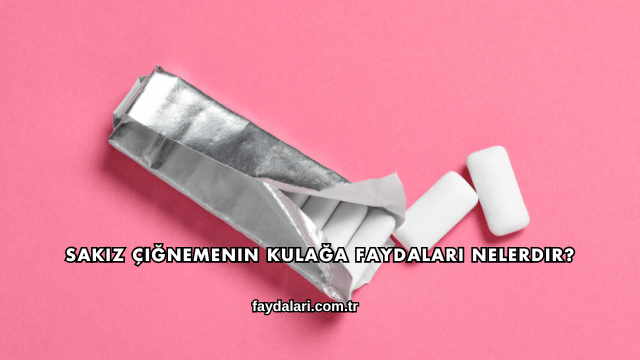 Sakız Çiğnemenin Kulağa Faydaları Nelerdir?