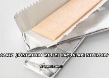 Sakız Çiğnemenin Mideye Faydaları Nelerdir?