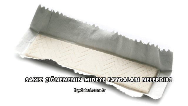 Sakız Çiğnemenin Mideye Faydaları Nelerdir?