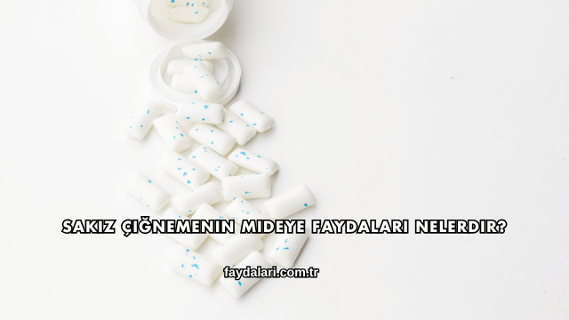 Sakız Çiğnemenin Mideye Faydaları Nelerdir?