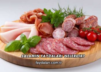 Salamın Faydaları Nelerdir?