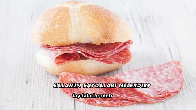 Salamın Faydaları Nelerdir?
