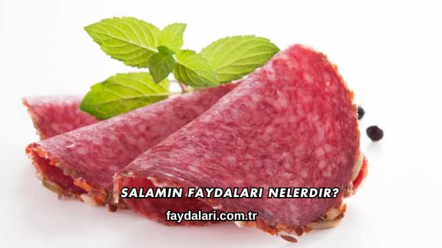Salamın Faydaları Nelerdir?