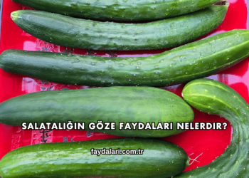 Salatalığın Göze Faydaları Nelerdir?