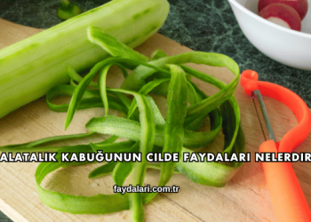 Salatalık Kabuğunun Cilde Faydaları Nelerdir?