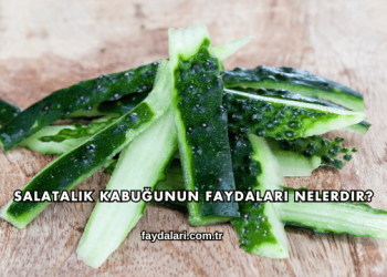 Salatalık Kabuğunun Faydaları Nelerdir?