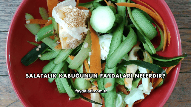 Salatalık Kabuğunun Faydaları Nelerdir?