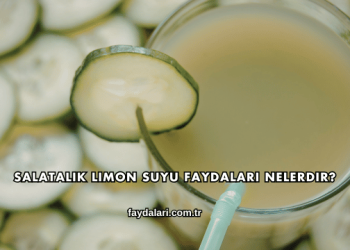 Salatalık Limon Suyu Faydaları Nelerdir?