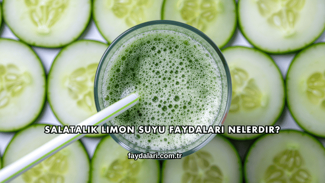 Salatalık Limon Suyu Faydaları Nelerdir?